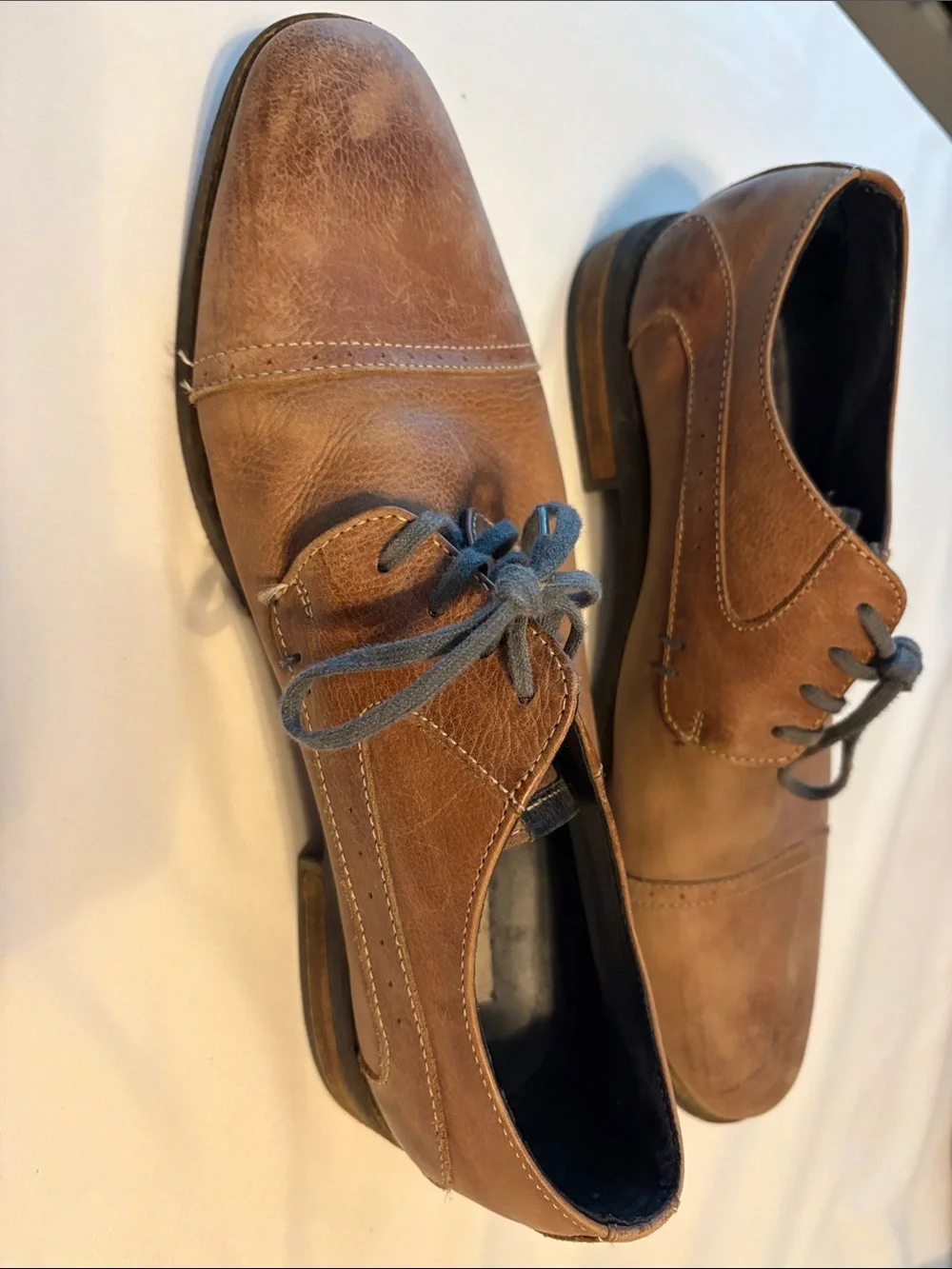 Steve Madden Brown Leather Derby Shoes with Blue Laces